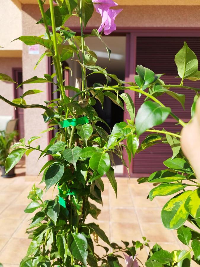 Vivienda Vacacional Compartida Radazul Bed & Breakfast Eksteriør bilde