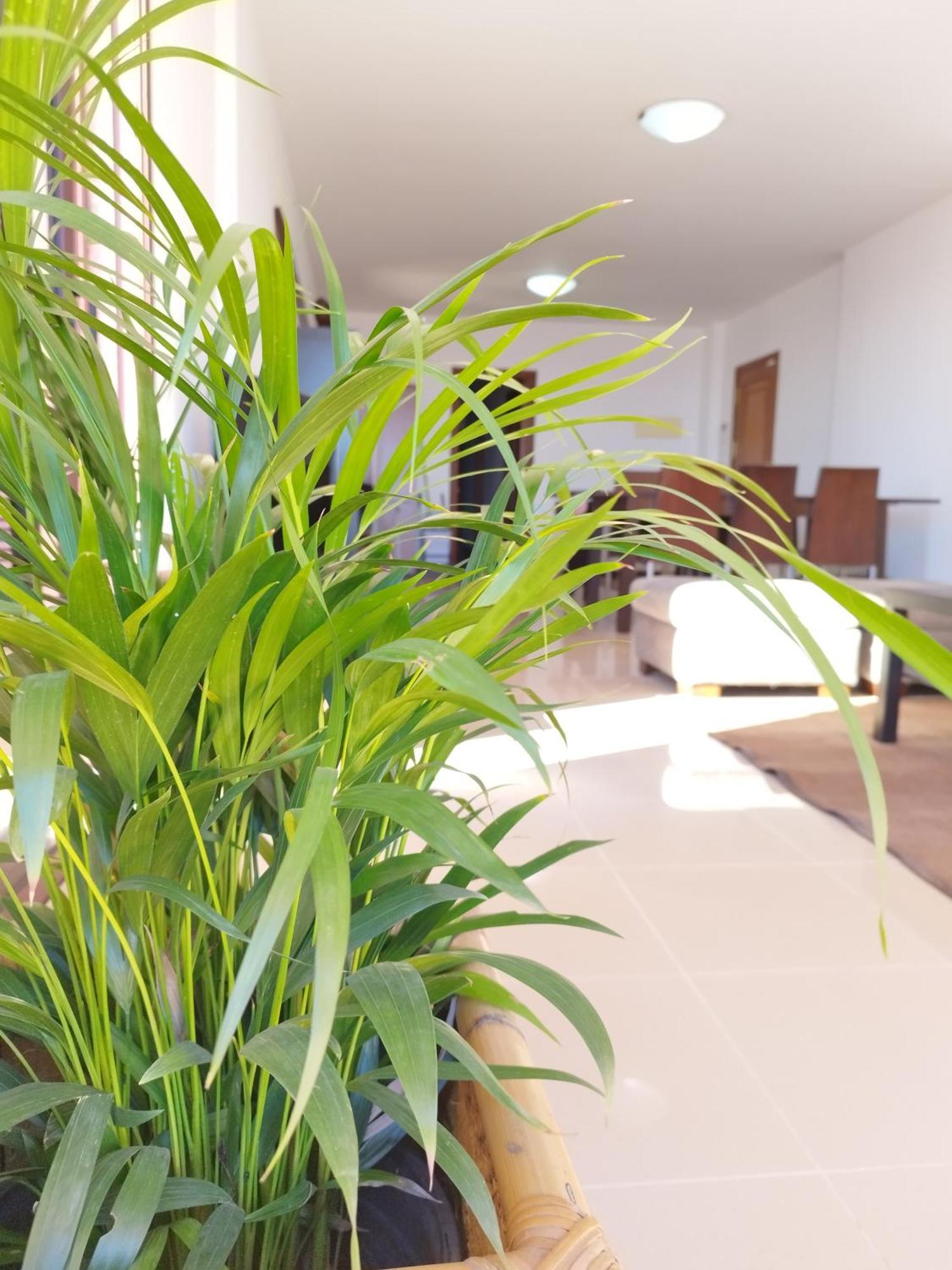 Vivienda Vacacional Compartida Radazul Bed & Breakfast Eksteriør bilde